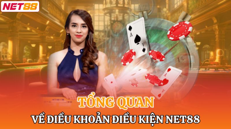 Khát quát chi tiết về chính sách điều khoản và điều kiện